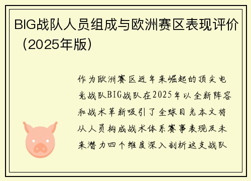 BIG战队人员组成与欧洲赛区表现评价（2025年版）